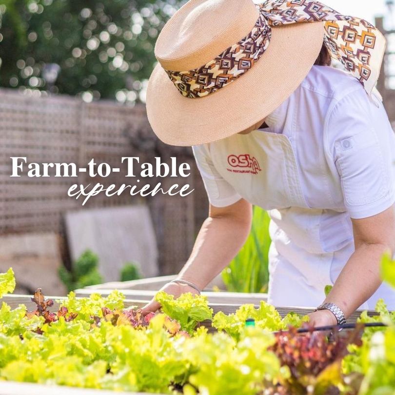 Farm to Table Experience